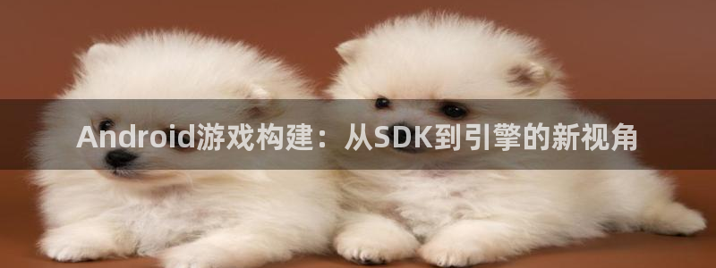 28大神下载苹果：Android游戏构建：从SDK到引擎的新