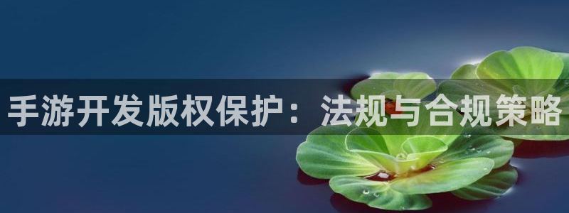 28大神算法公式：手游开发版权保护：法规与合规策略