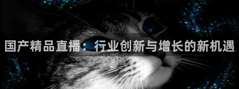 极速直播吧nba直播：国产精品直播：行业创新与增长的新机遇