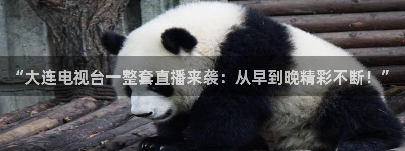 体育直播吧在线直播：“大连电视台一整套直播来袭：从早到晚精彩不断！”
